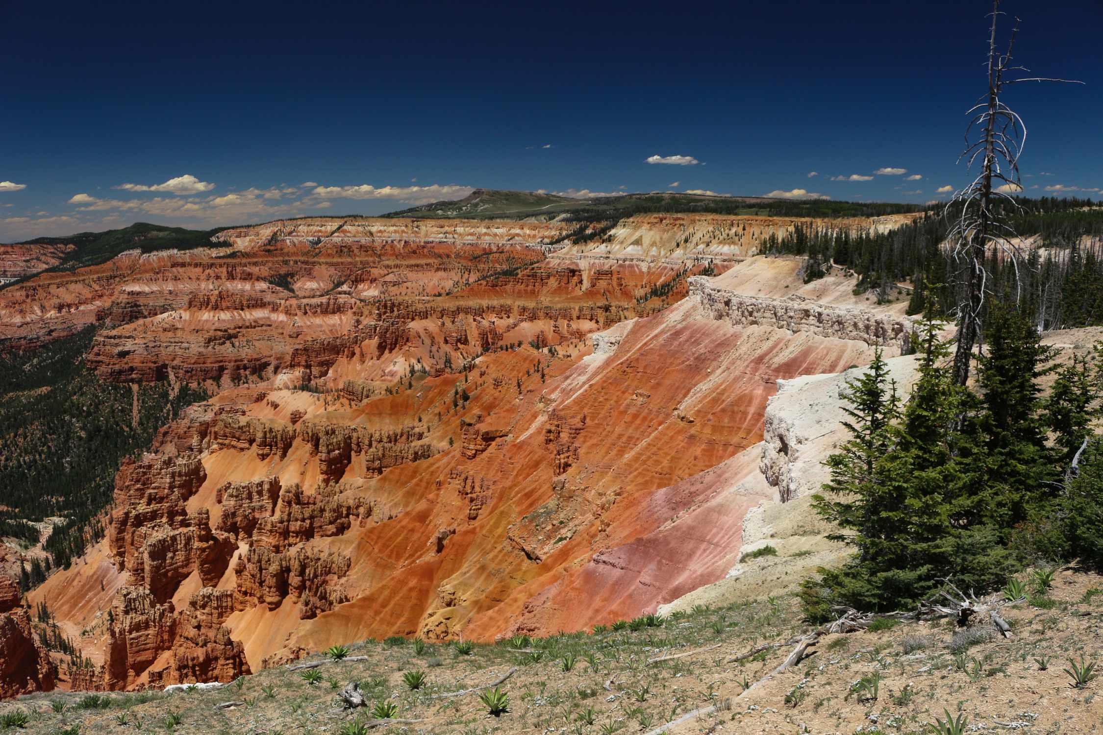 Cedar Breaks National Monument - Photo 1