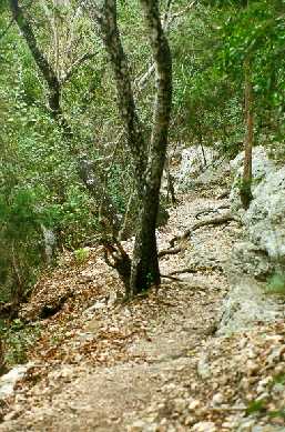 Friedrich Wilderness Park - Photo 1
