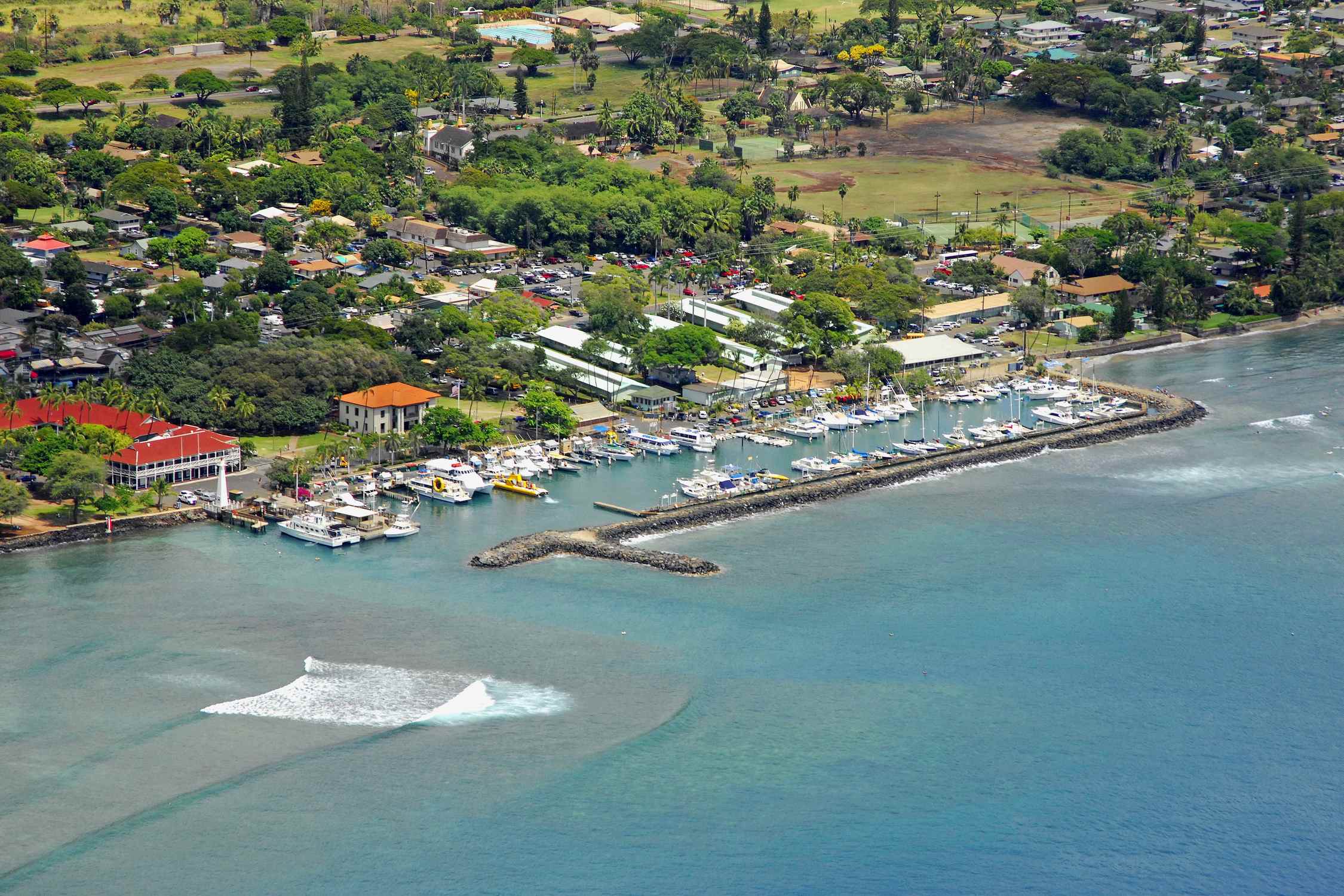 Lahaina Harbor - Photo 1