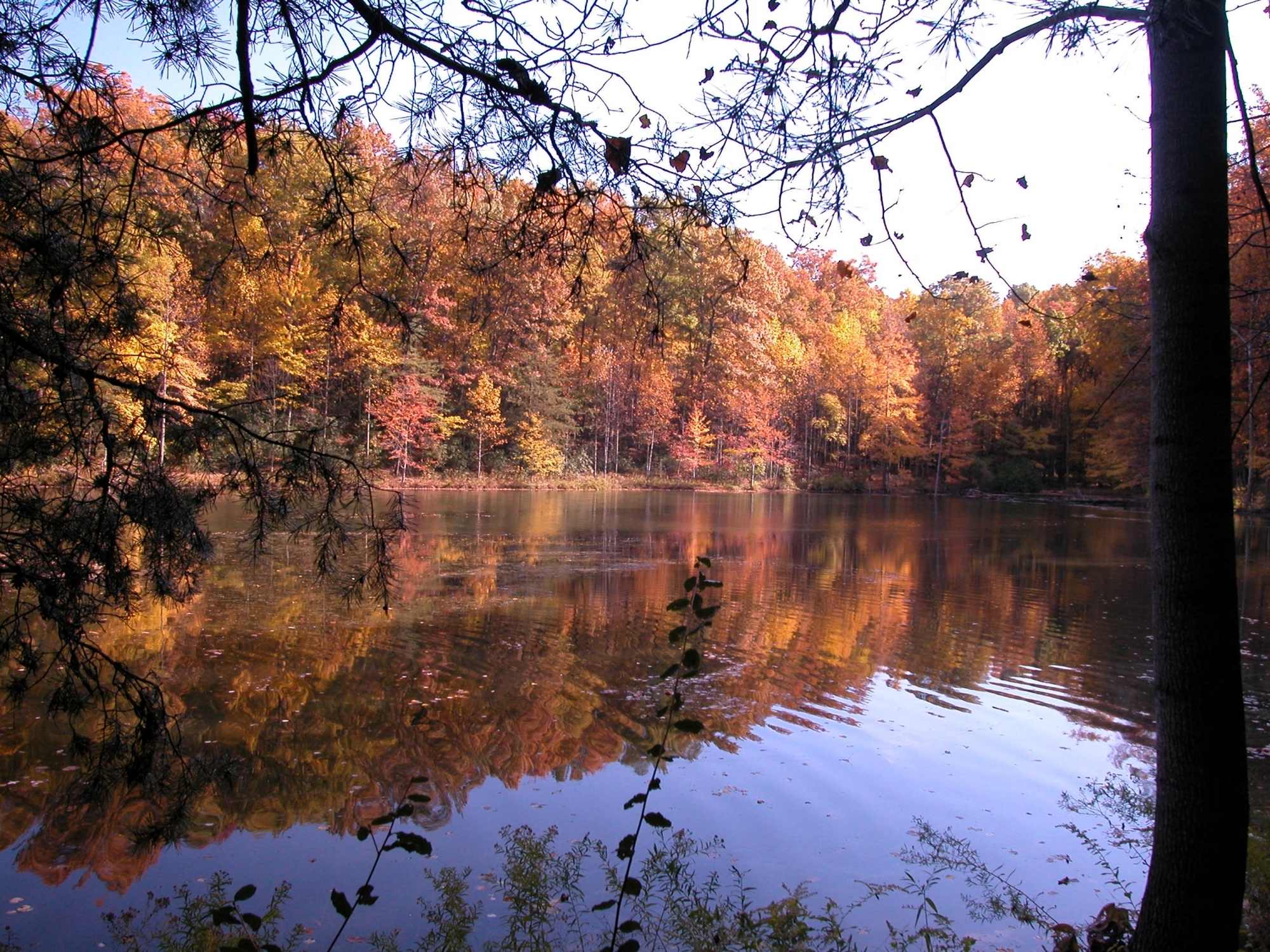 Seneca Creek State Park - Photo 1