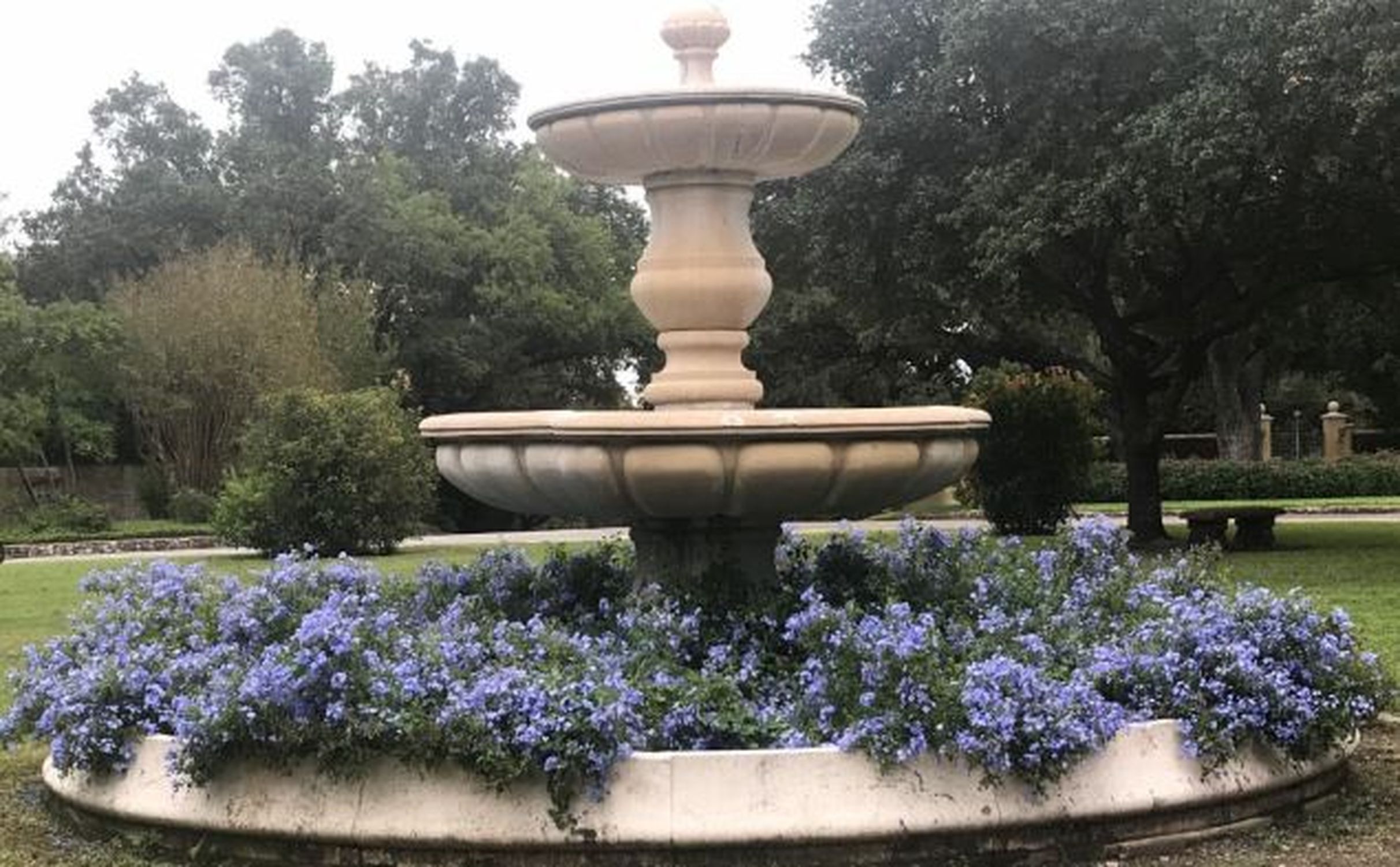 Olmos Park - Photo 1