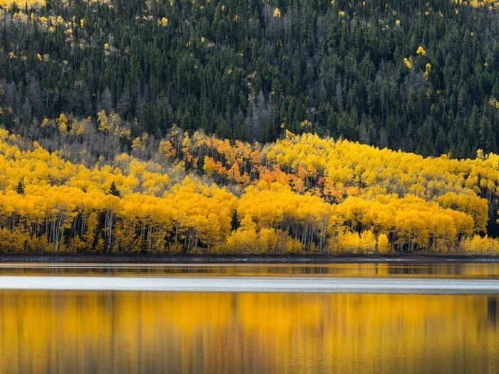 Fishlake National Forest - Photo 1