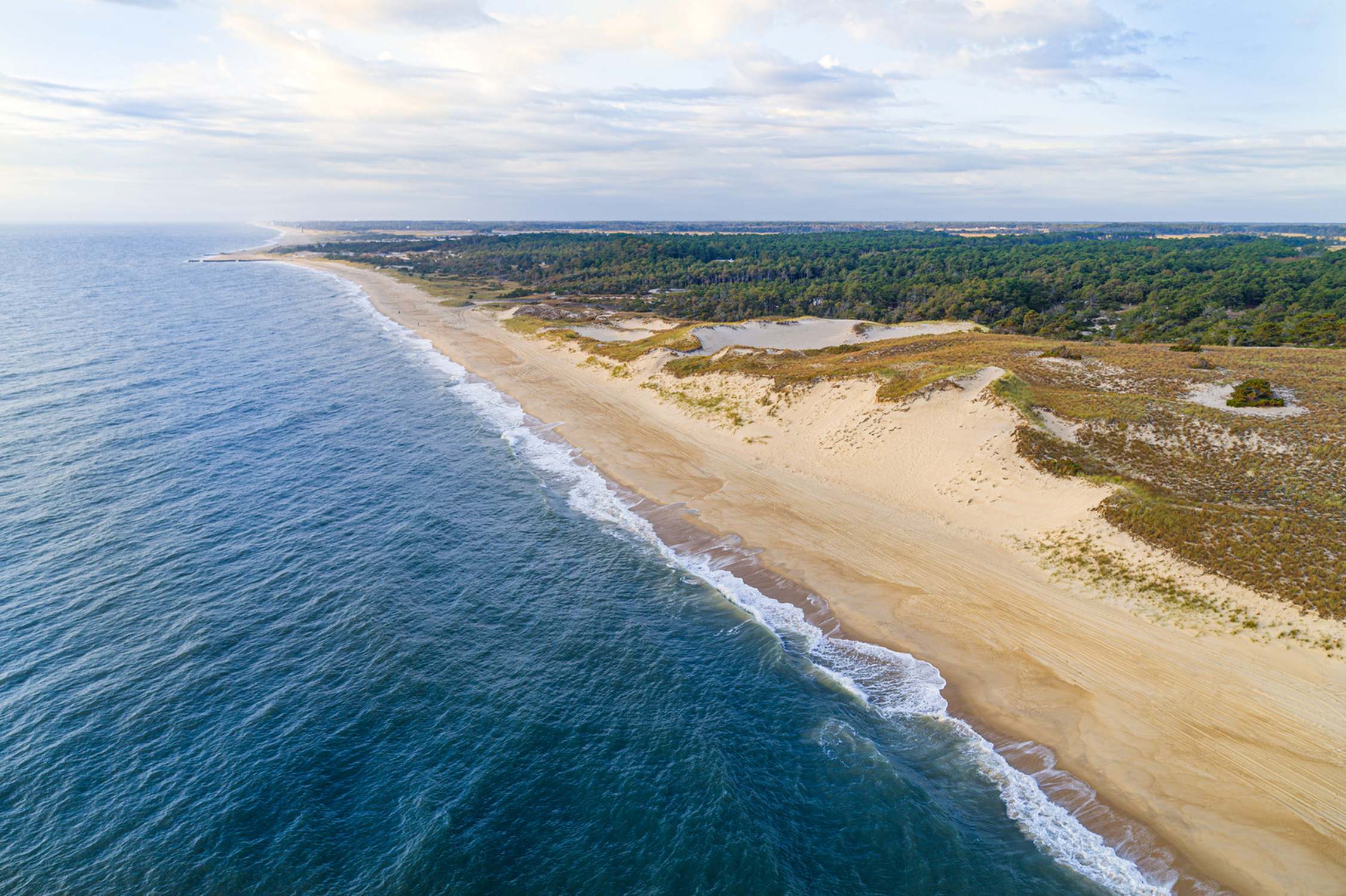 Cape Henlopen State Park - Photo 1