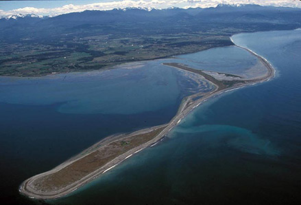Dungeness Spit - Photo 1