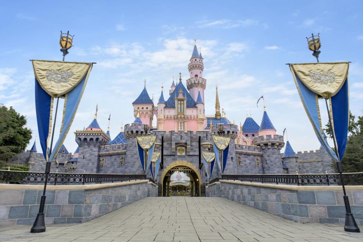 Disneyland - Photo 1