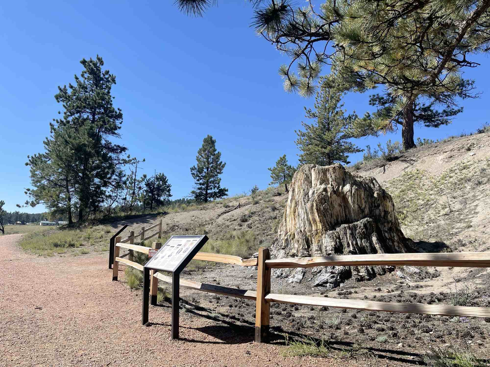 Florissant Fossil Beds National Monument - Photo 1