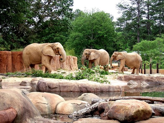 Riverbanks Zoo - Photo 1