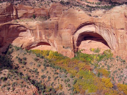 Navajo National Monument - Photo 1