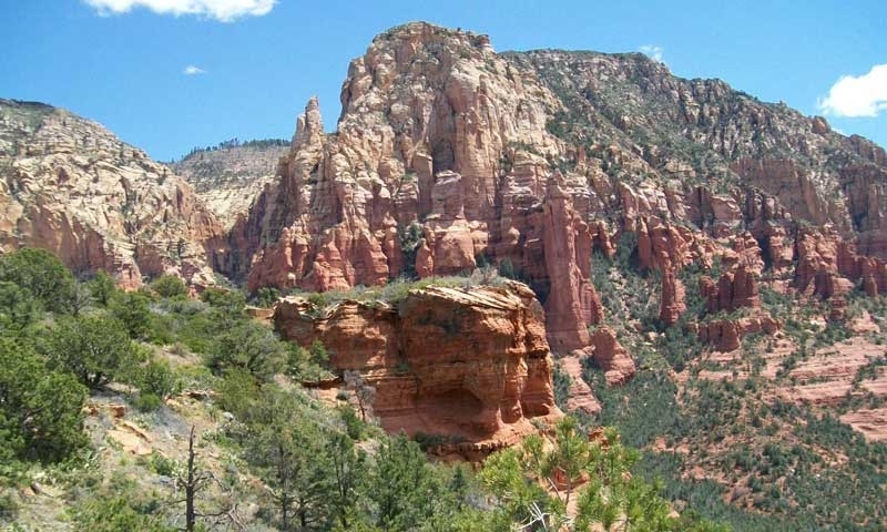 Munds Mountain Wilderness - Photo 1