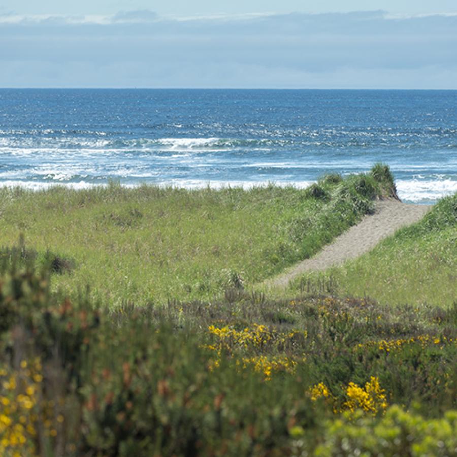 Seashore Conservation Area State Park - Photo 1