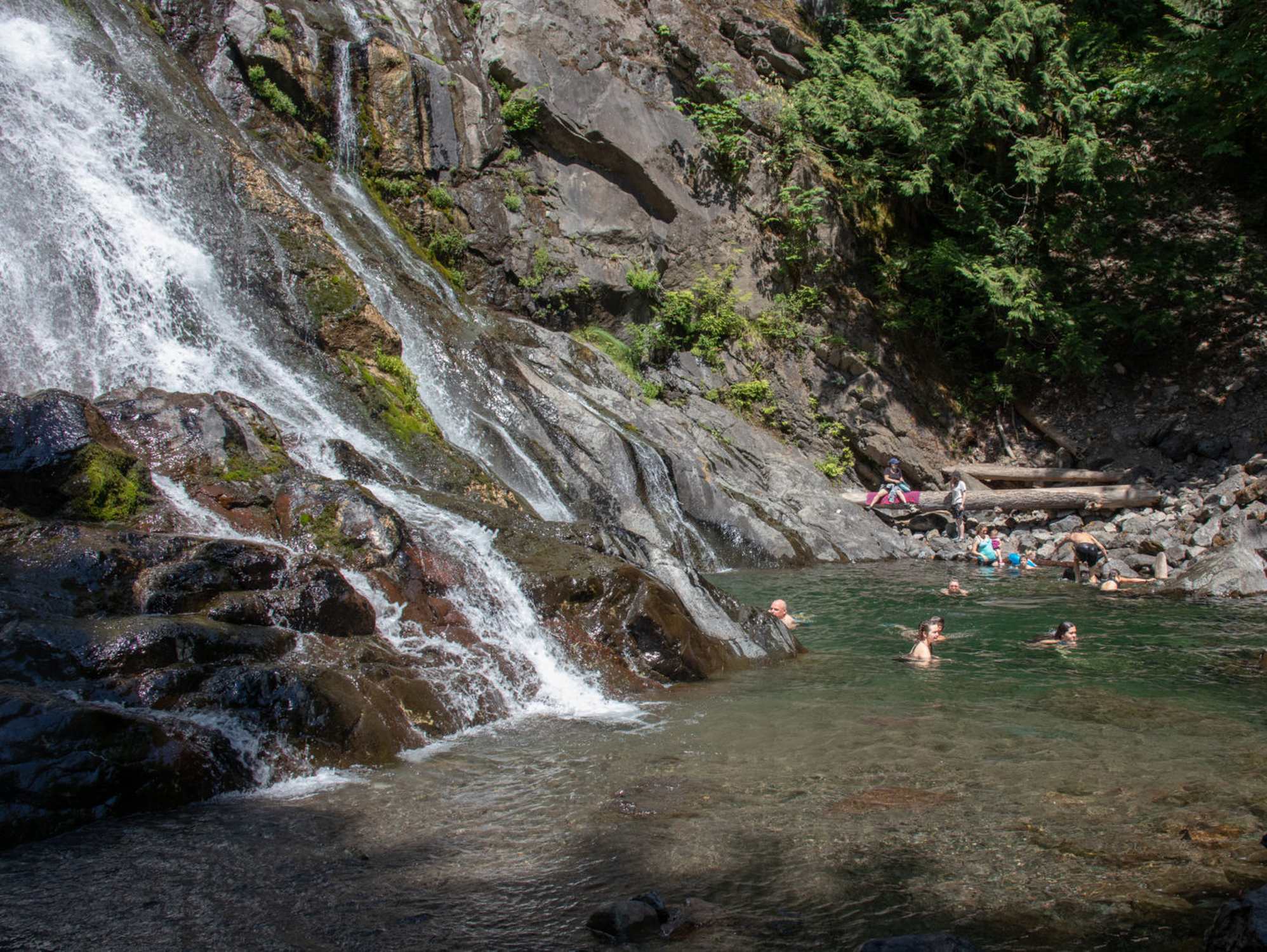 Dosewallips State Park - Photo 1