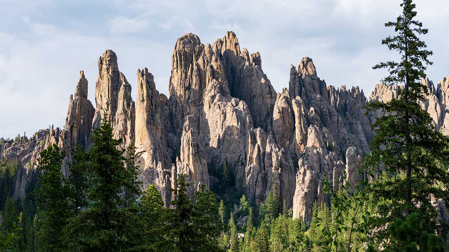 Black Elk Wilderness - Photo 1