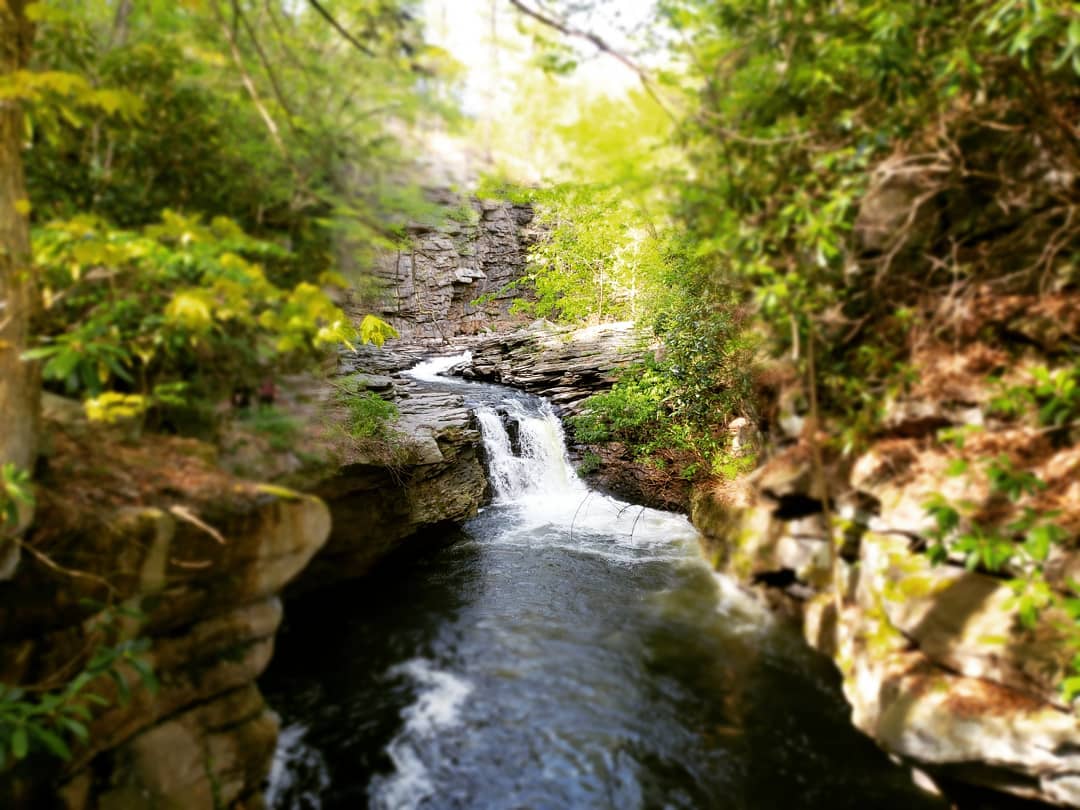 Nay Aug Park - Photo 1