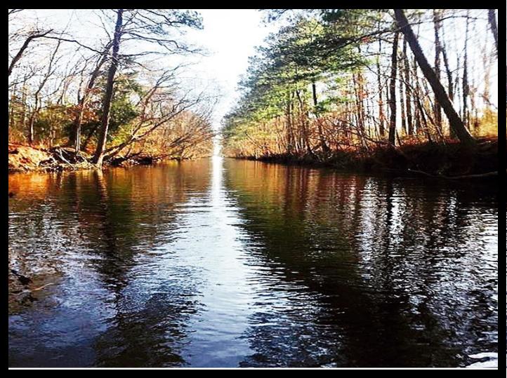 Assawoman Canal - Photo 1