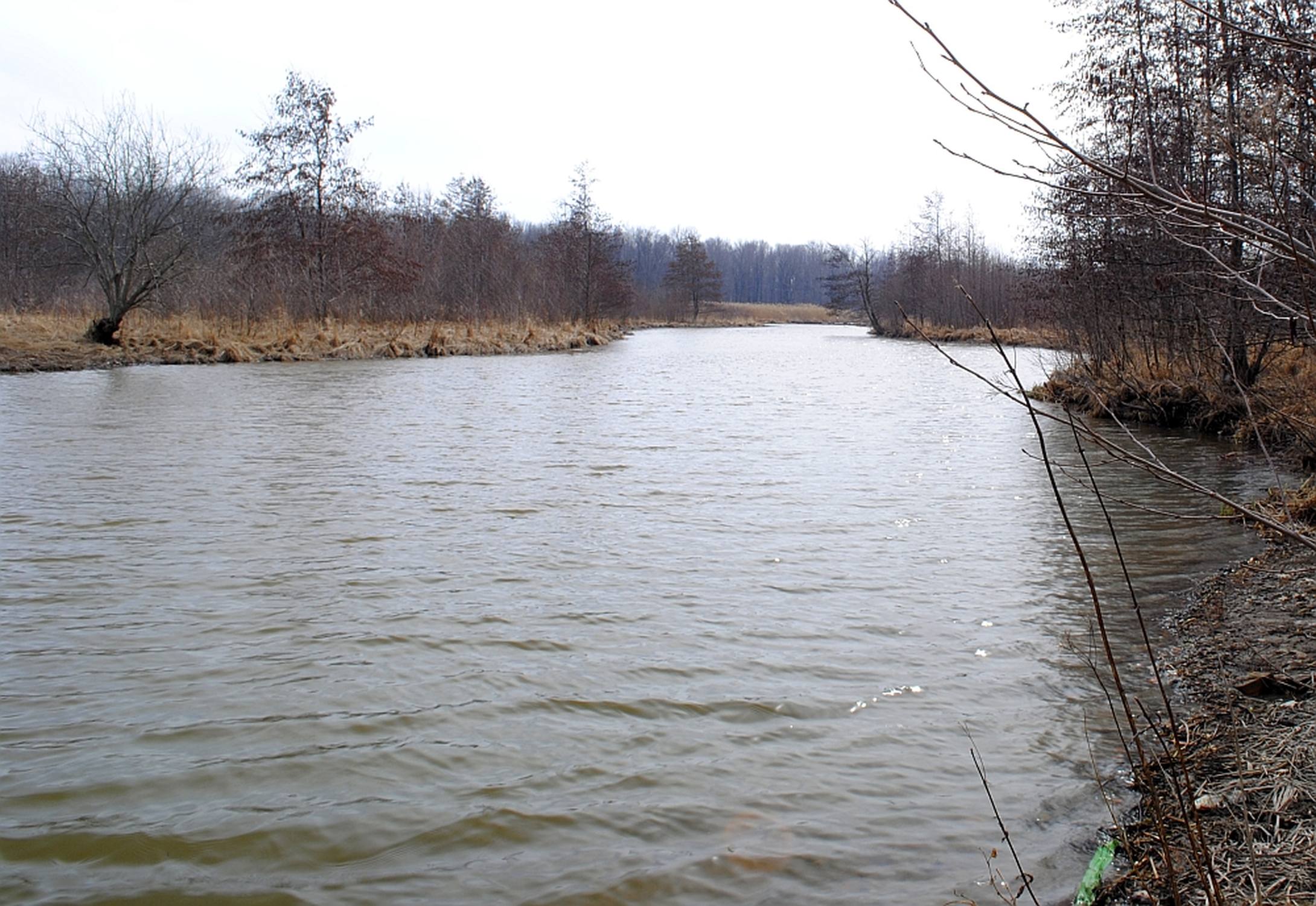 Buckhorn Island State Park - Photo 1