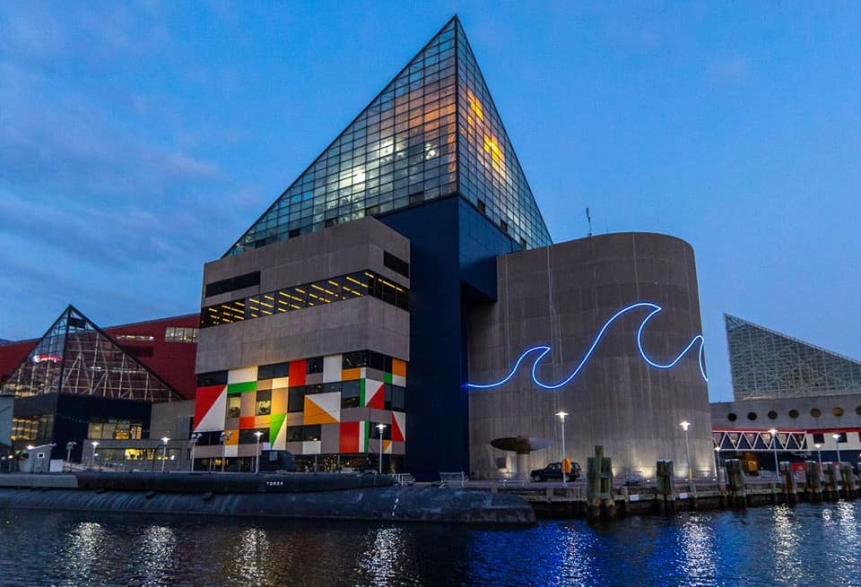 National Aquarium - Photo 1