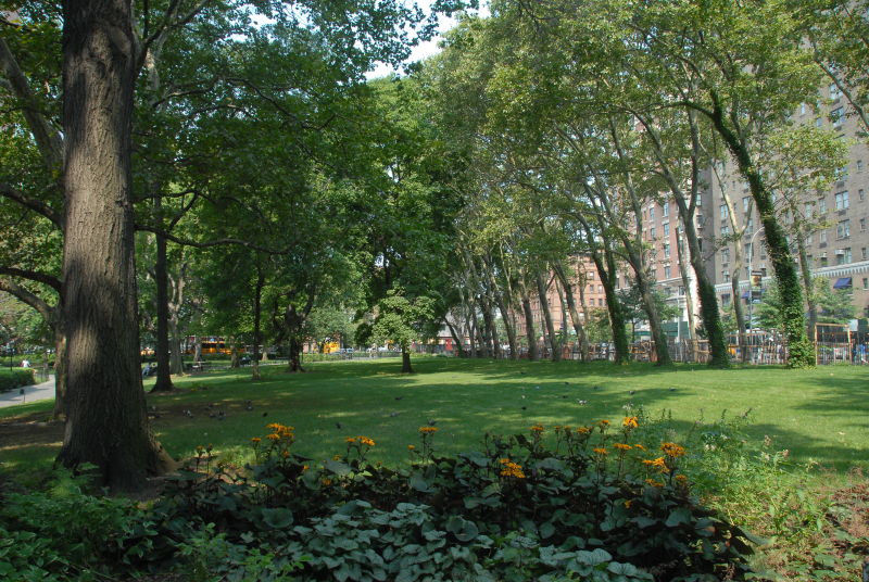 Theodore Roosevelt Park - Photo 1