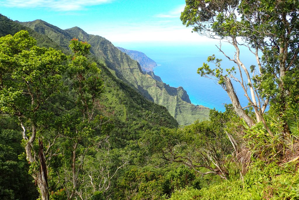Hono O Nā Pali Natural Area Reserve - Photo 1