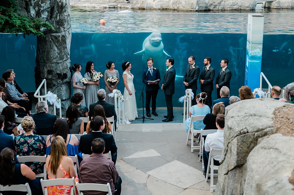 Mystic Aquarium - Photo 1