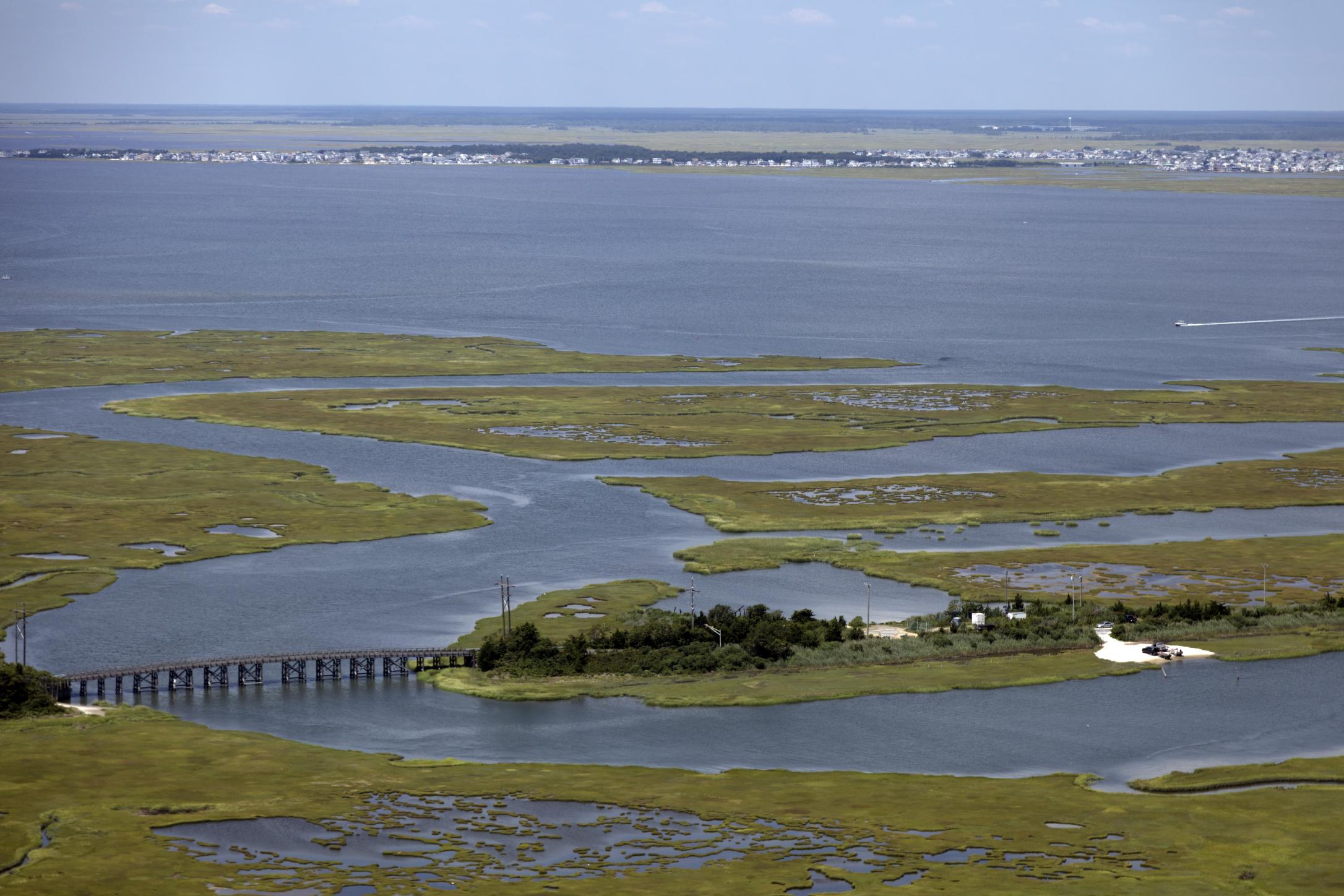 Great Bay Boulevard Wildlife Management Area - Photo 1