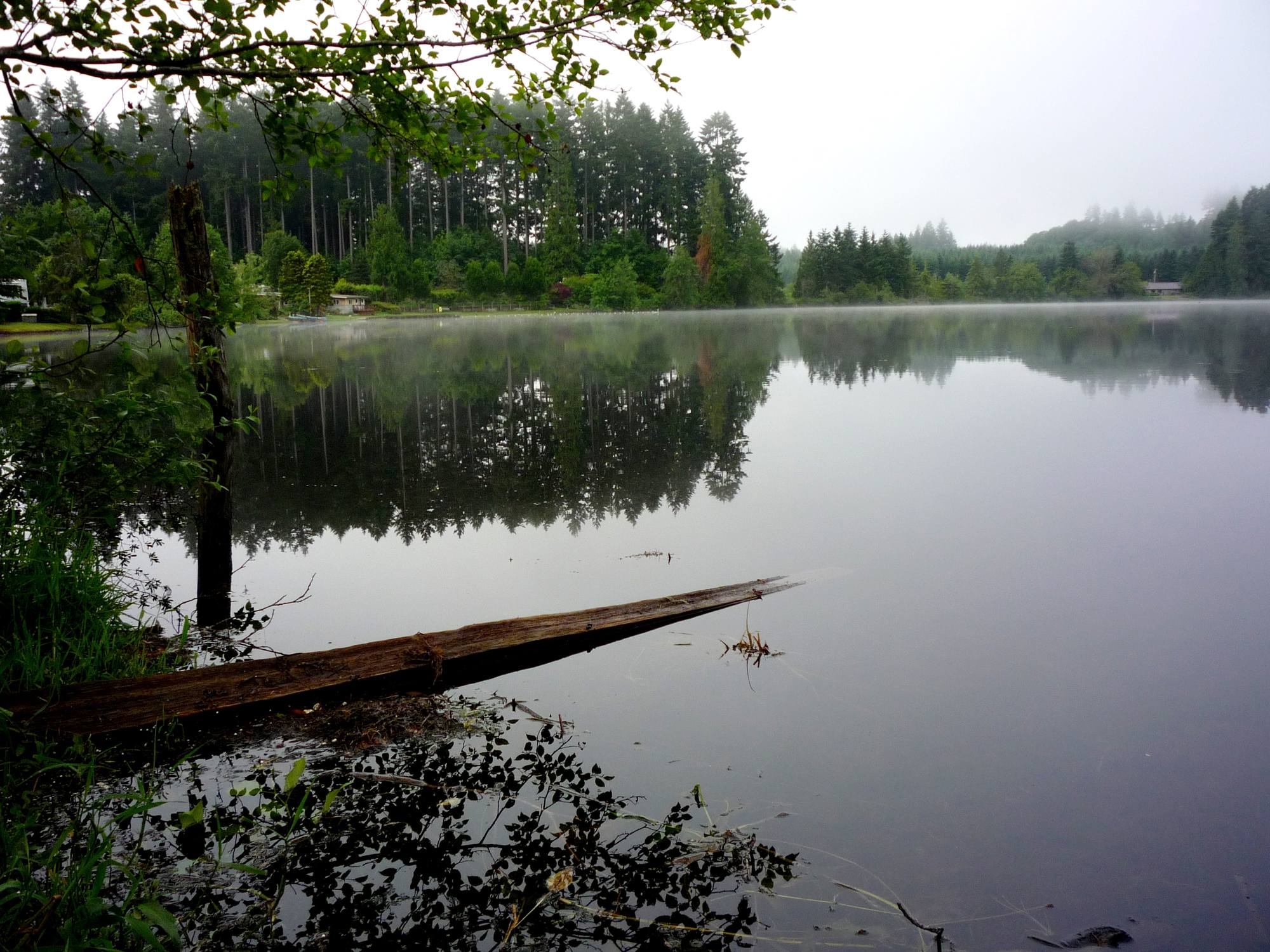 Millersylvania State Park - Photo 1