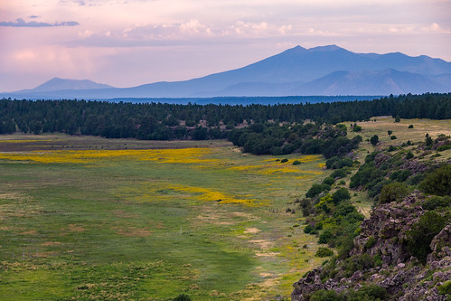 Coconino National Forest - Photo 1