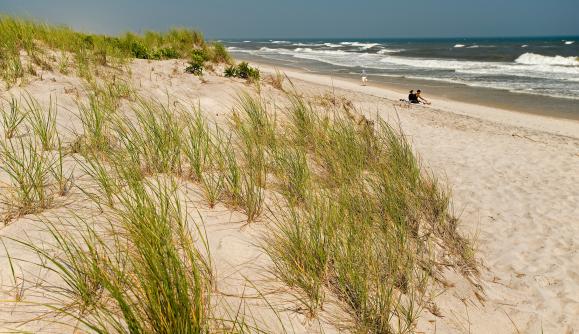 Fire Island National Seashore - Photo 1