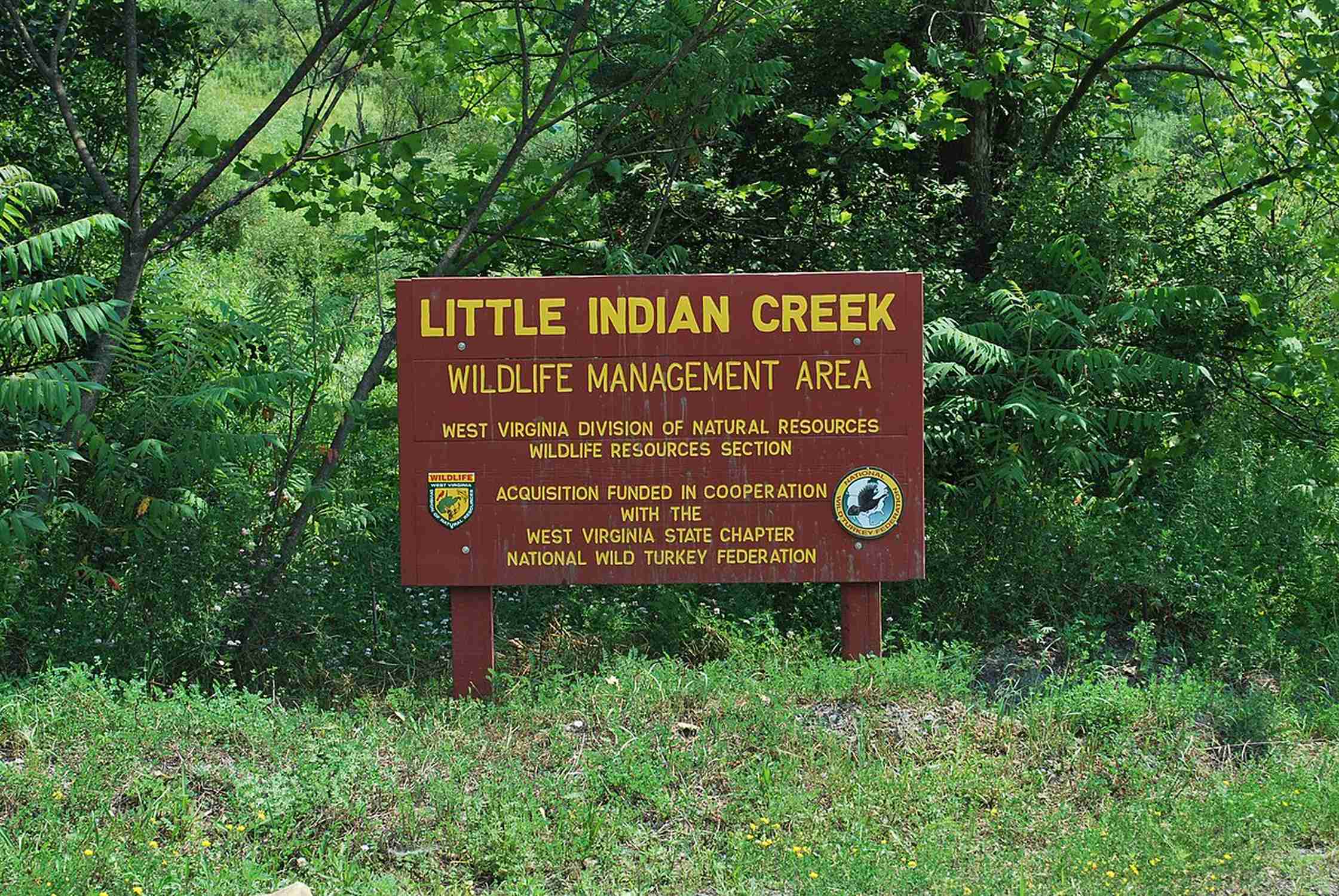 Little Indian Creek Wildlife Management Area - Photo 1
