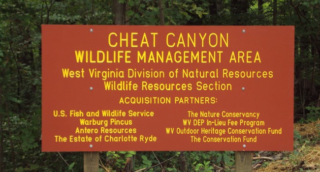 Cheat Canyon Wildlife Management Area - Photo 1