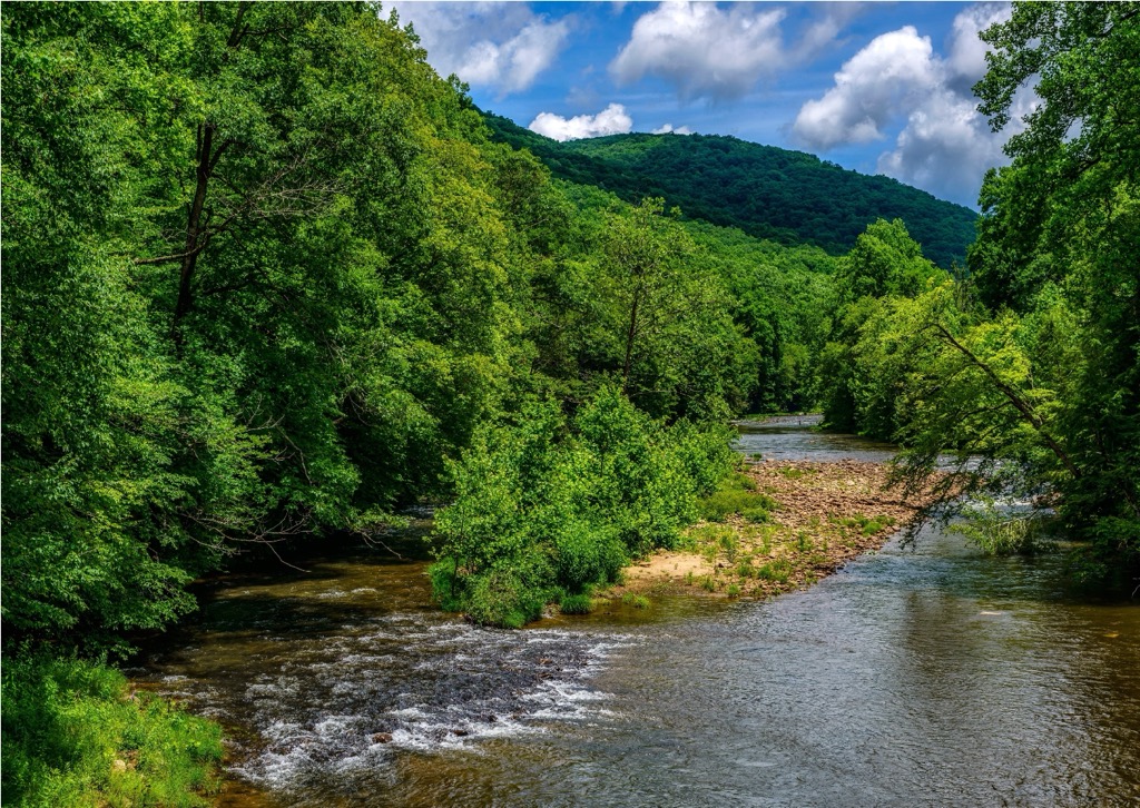 Little River Wildlife Management Area - Photo 1