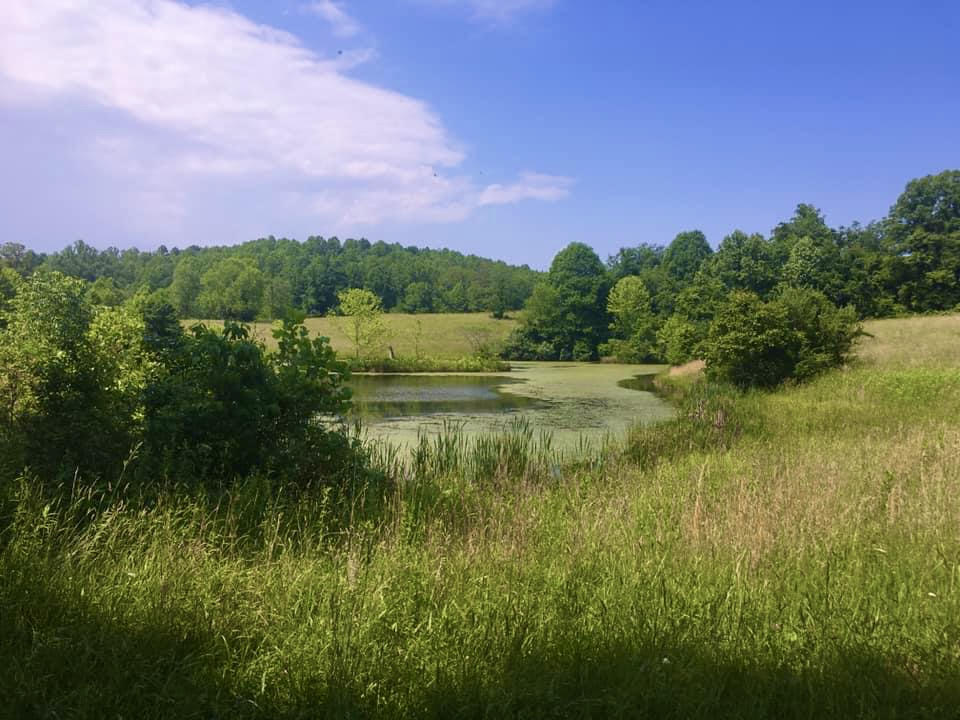 Elk River Wildlife Management Area - Photo 1