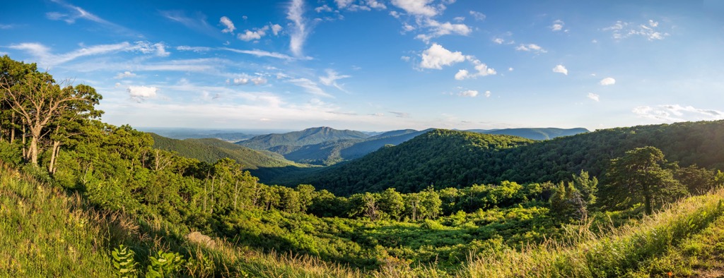 Shenandoah Wildlife Management Area - Photo 1