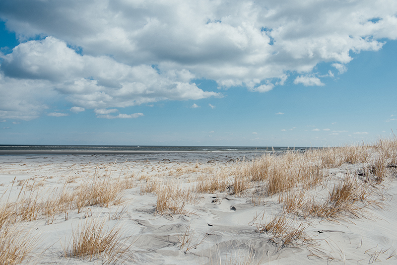 Corson's Inlet State Park - Photo 1