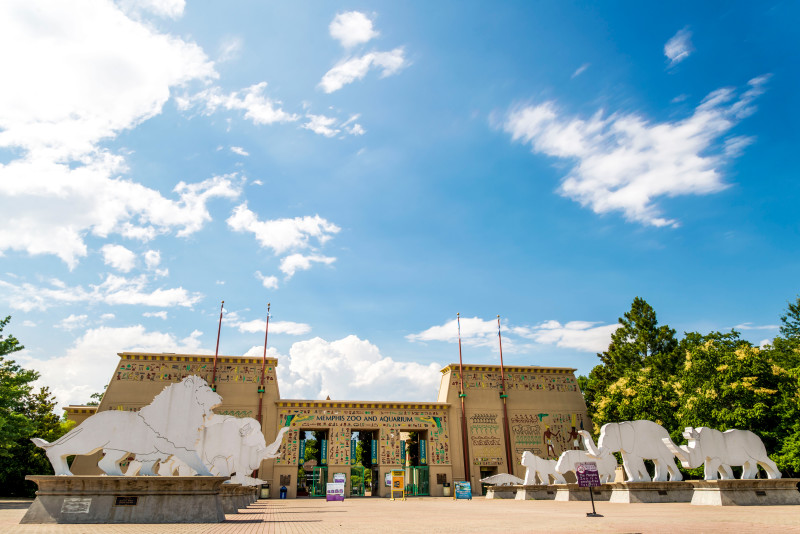 Memphis Zoo - Photo 1