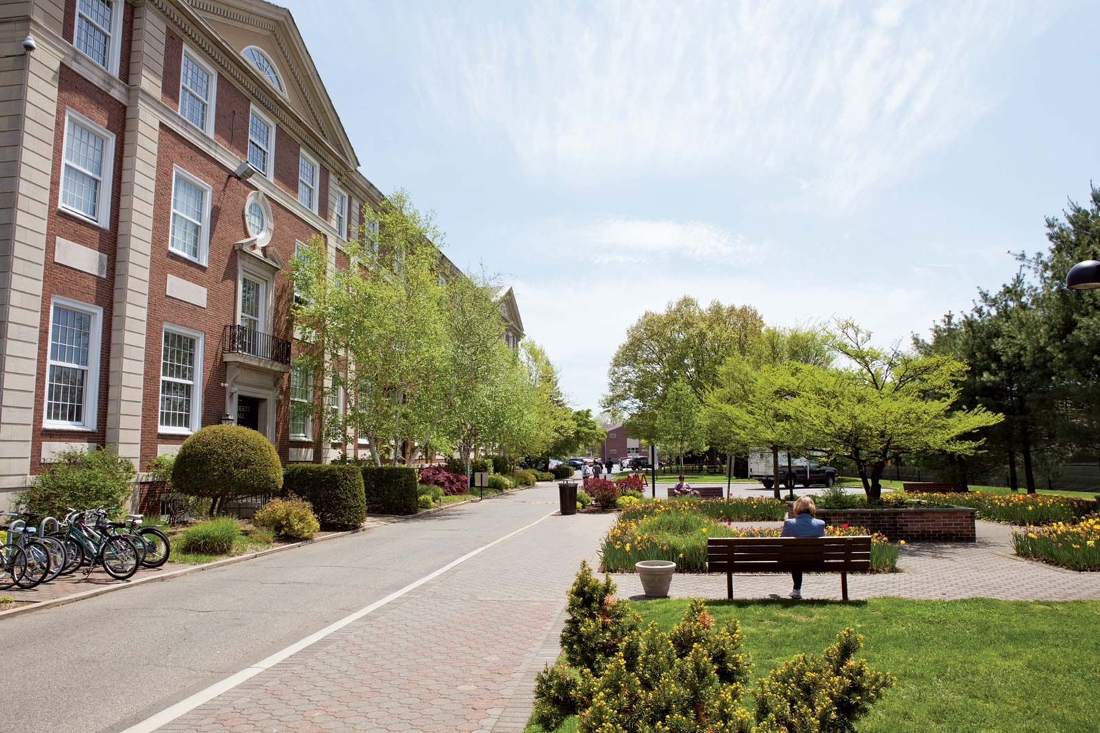Adelphi University - Photo 1