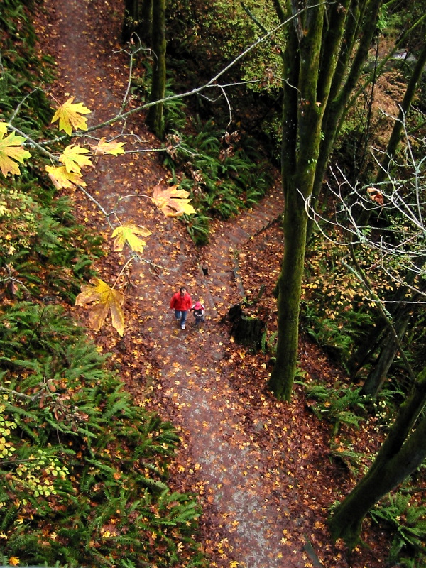 Ravenna Park - Photo 1