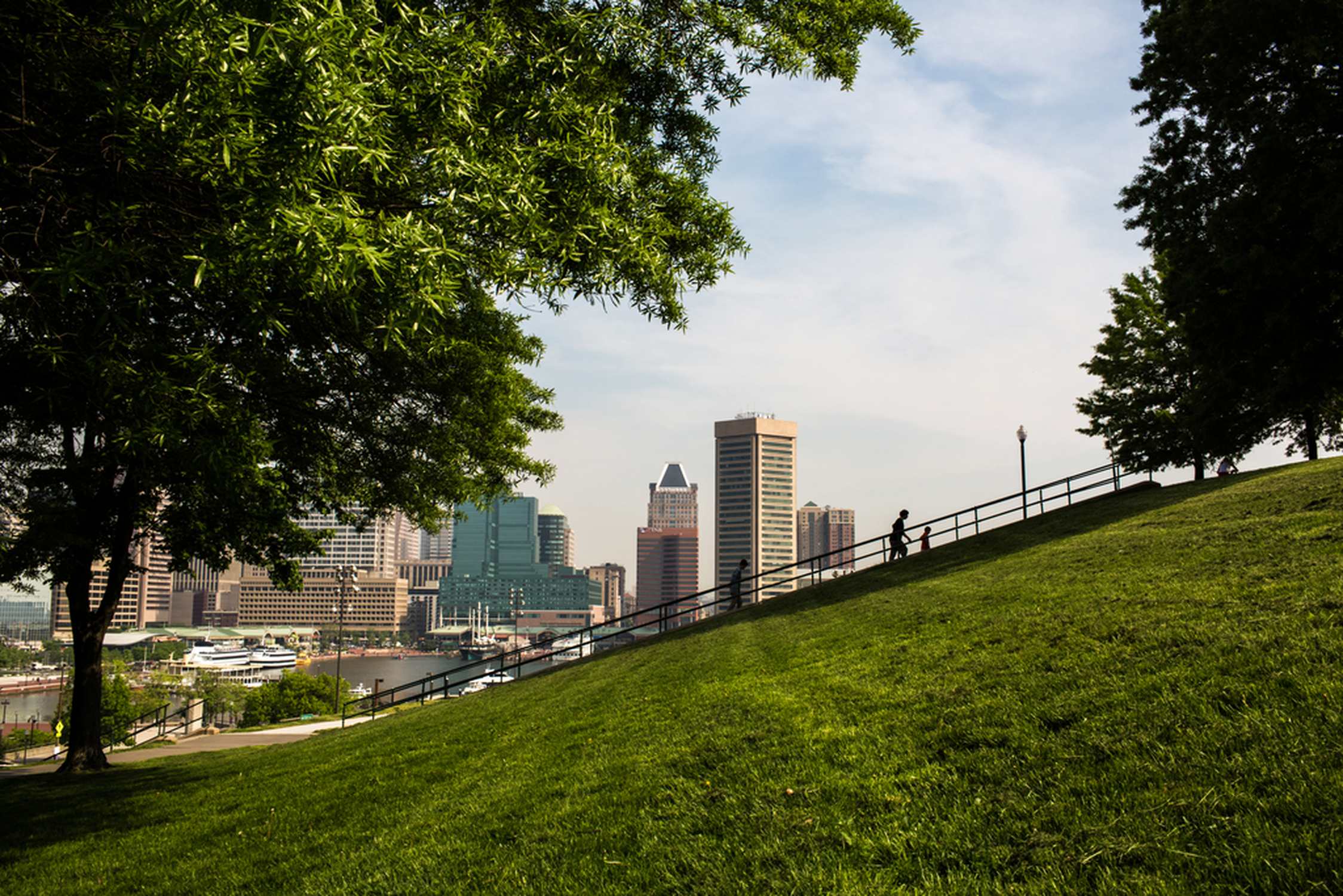 Federal Hill - Photo 1