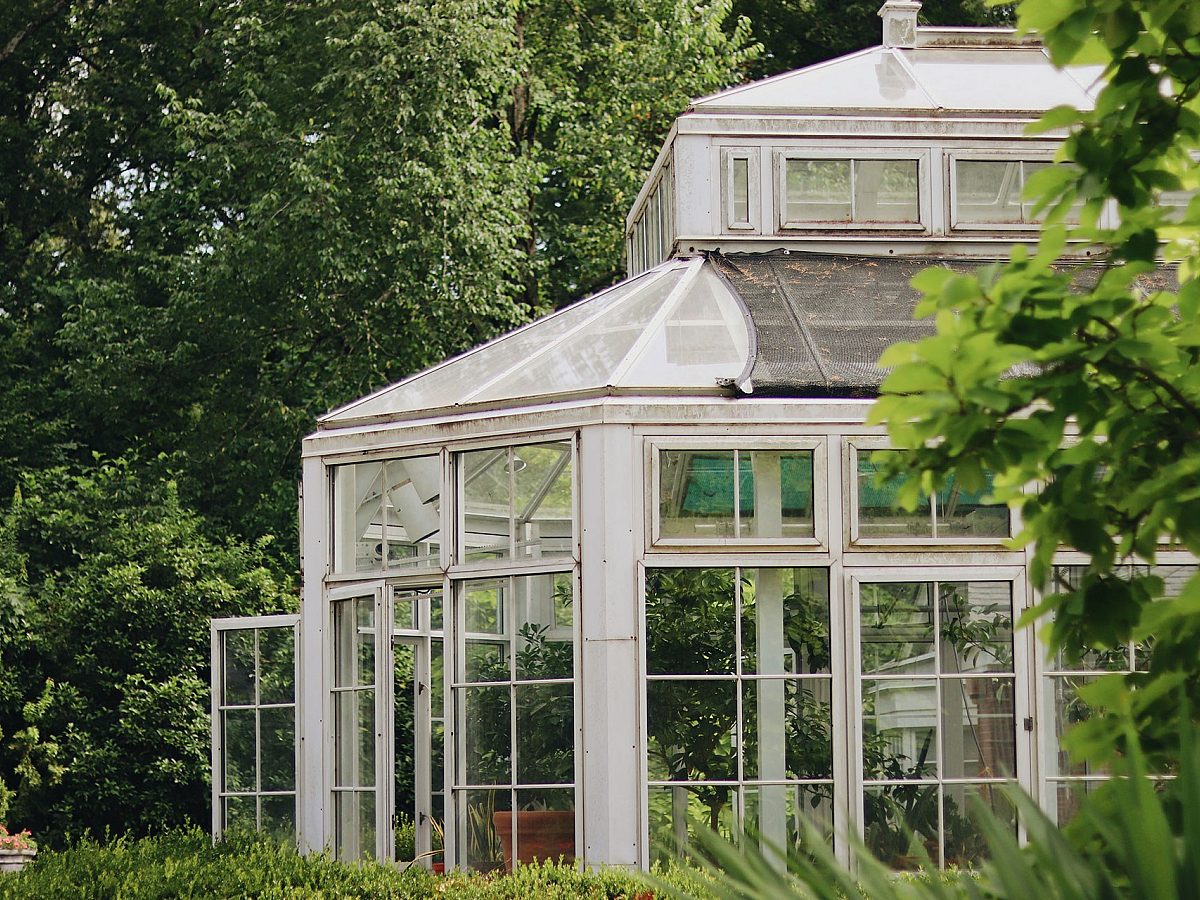 Dixon Gallery & Gardens - Photo 1