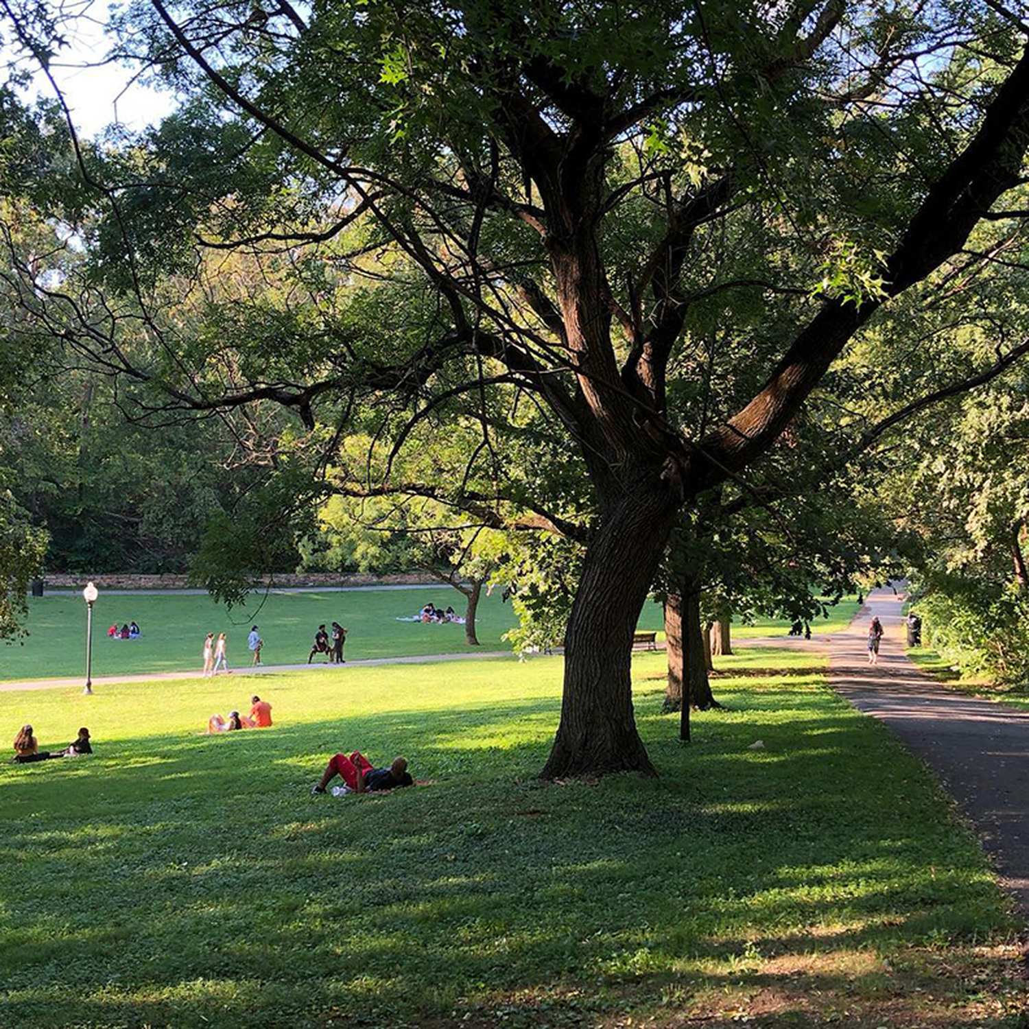 Wyman Park Dell - Photo 1