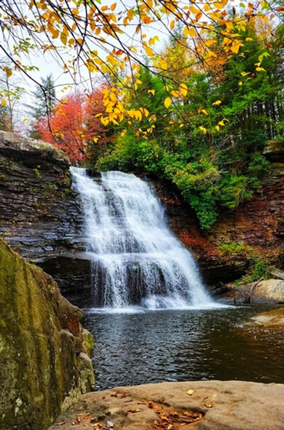 Swallow Falls State Park - Photo 1