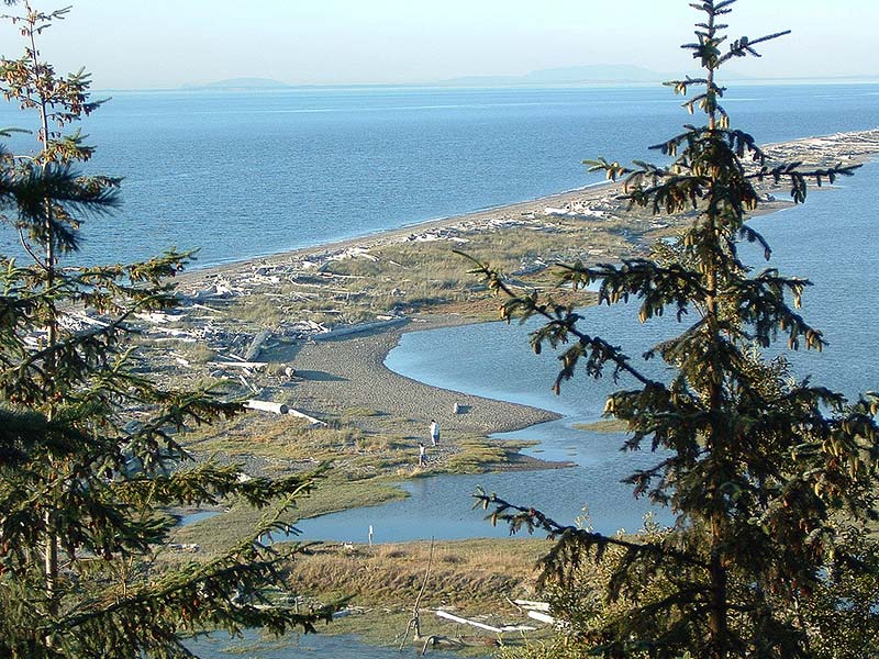 Dungeness Bay - Photo 1