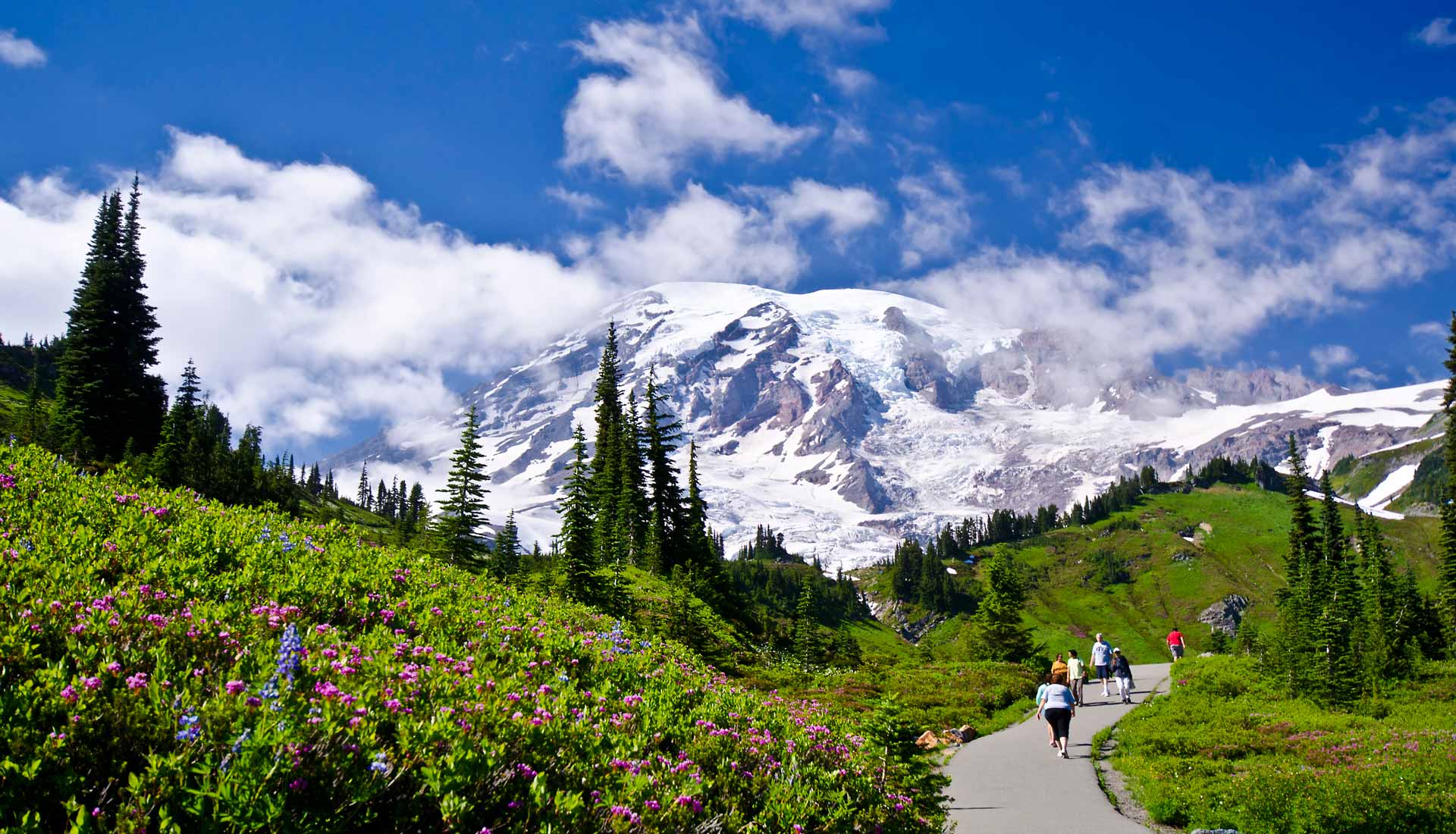Mount Rainier Gateway Reserve - Photo 1