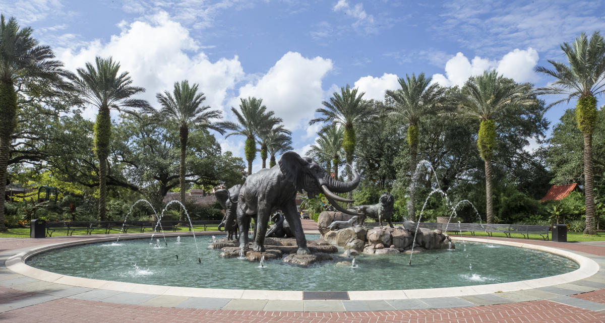 Audubon Zoo - Photo 1