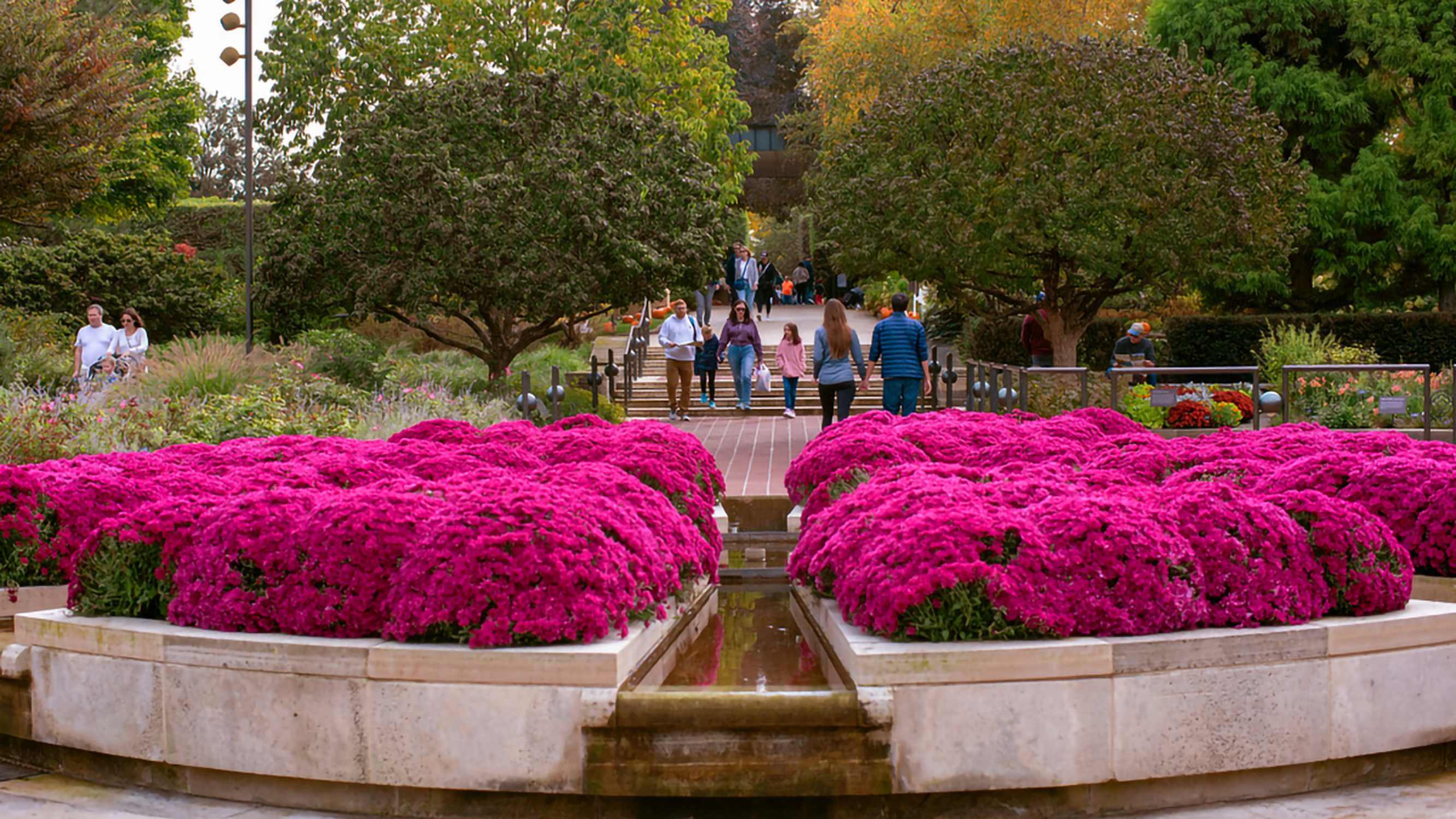 Chicago Botanic Garden - Photo 1