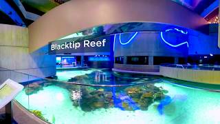 Marine Mammal Pavilion - Photo 1