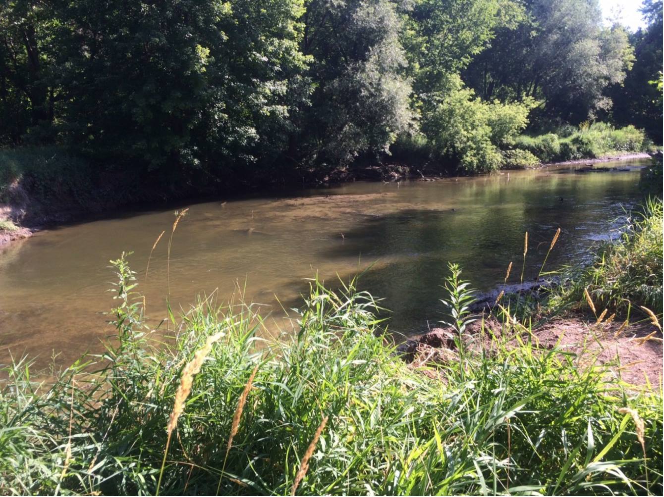 Clinton River Park South - Photo 1