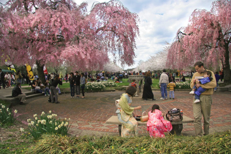 Centennial Arboretum - Photo 1