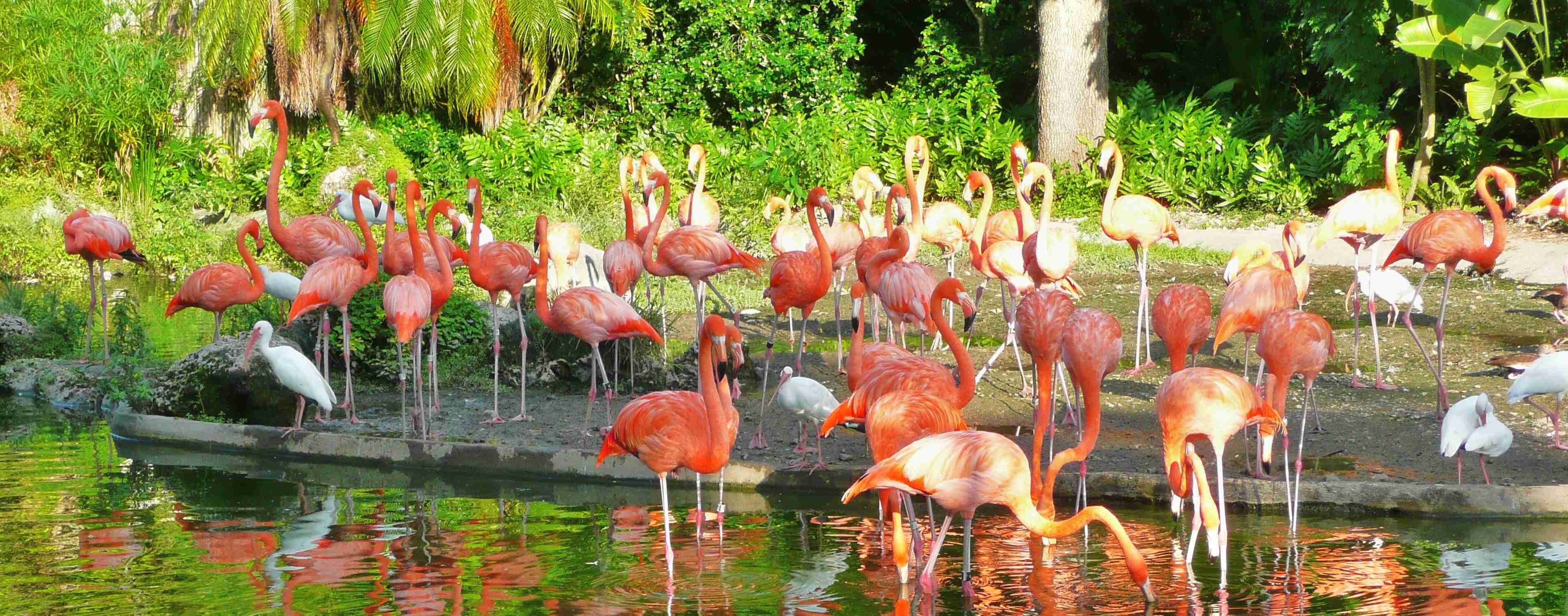 The Miami-Dade Zoological Park and Gardens - Photo 1