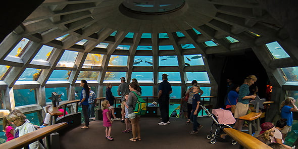 Pier 60 - Photo 1