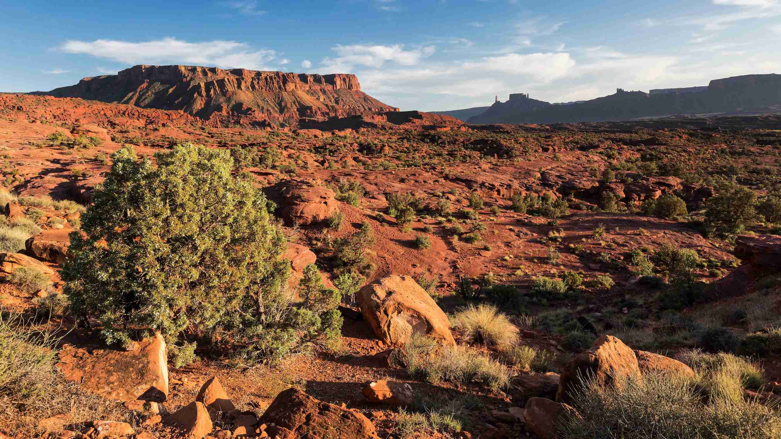 Utahraptor State Park - Photo 1